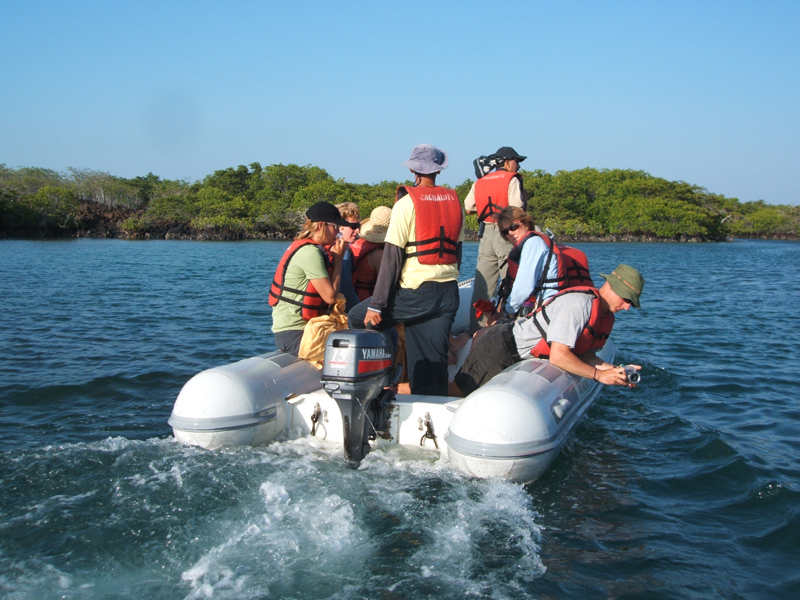 Bahía Elizabeth